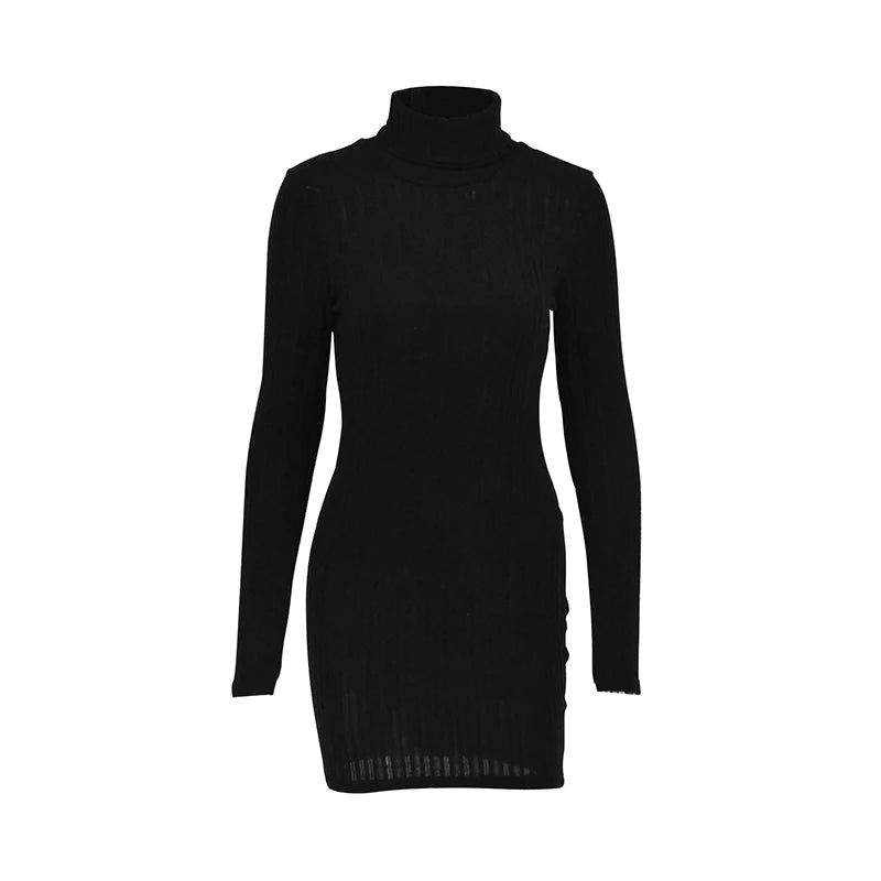 Ribbed Fitted Dress with High Neck and Long Sleeves